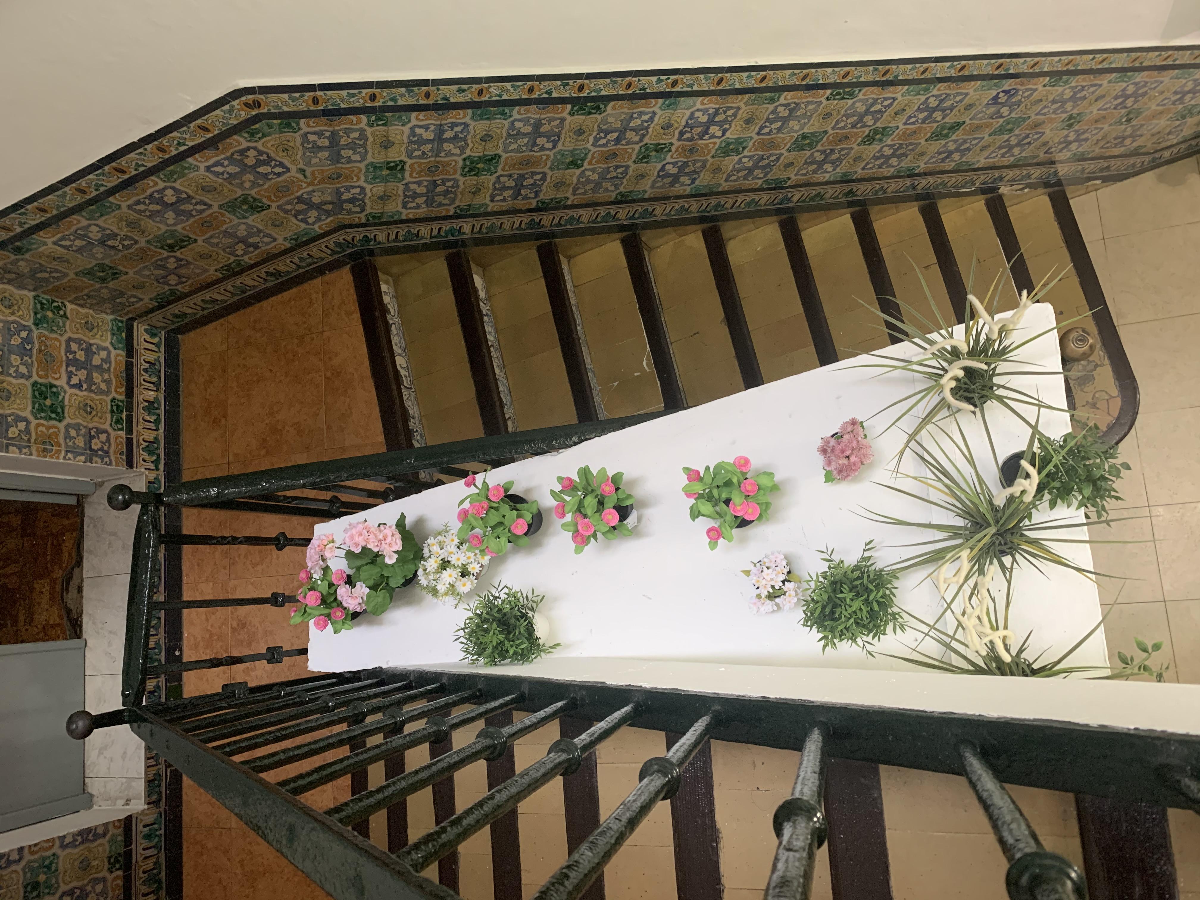 Hostal Alcobia Sevilla Eksteriør billede