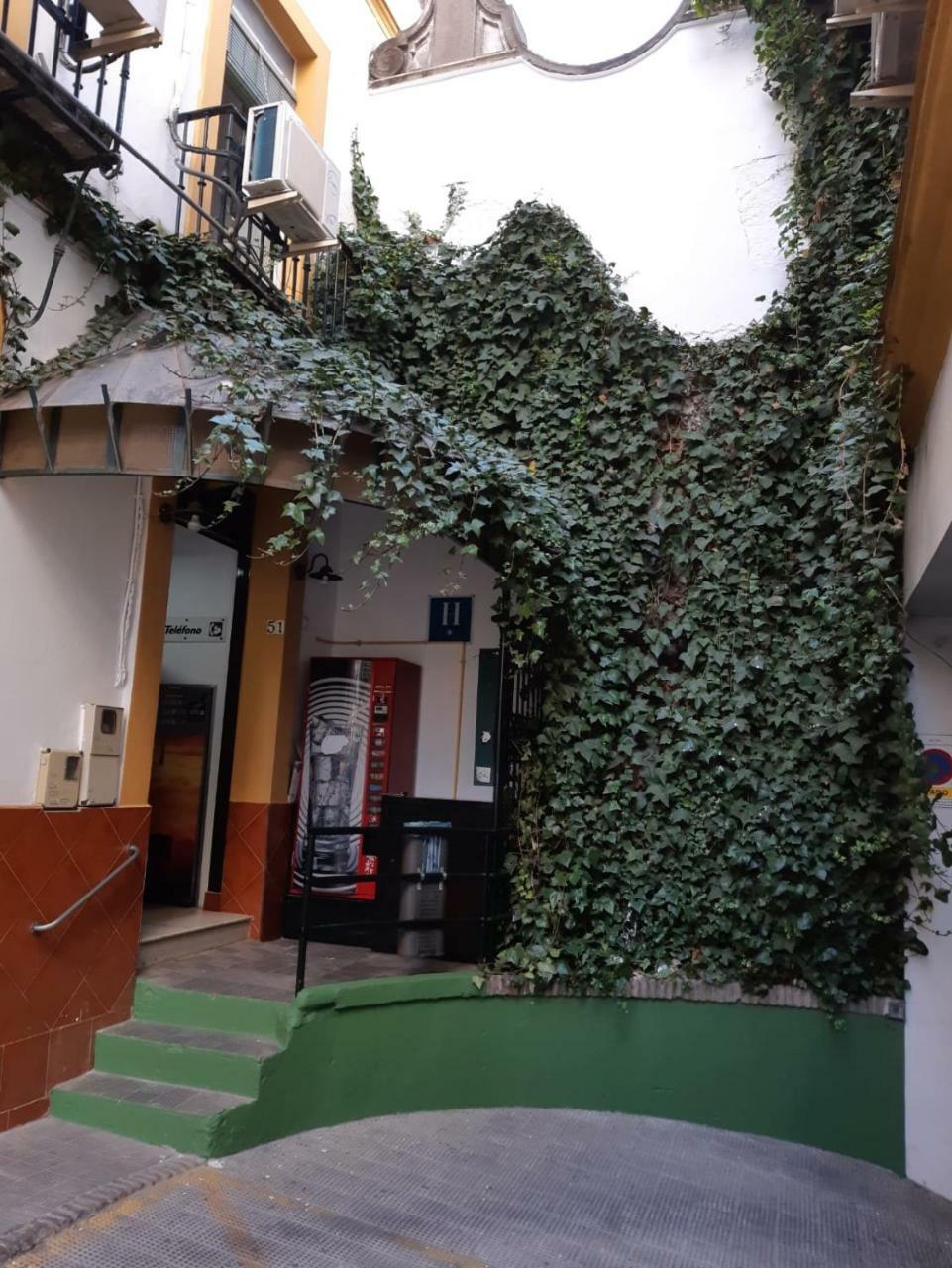 Hostal Alcobia Sevilla Eksteriør billede